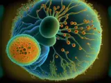 The Power of Stem Cells in Regenerative Medicine